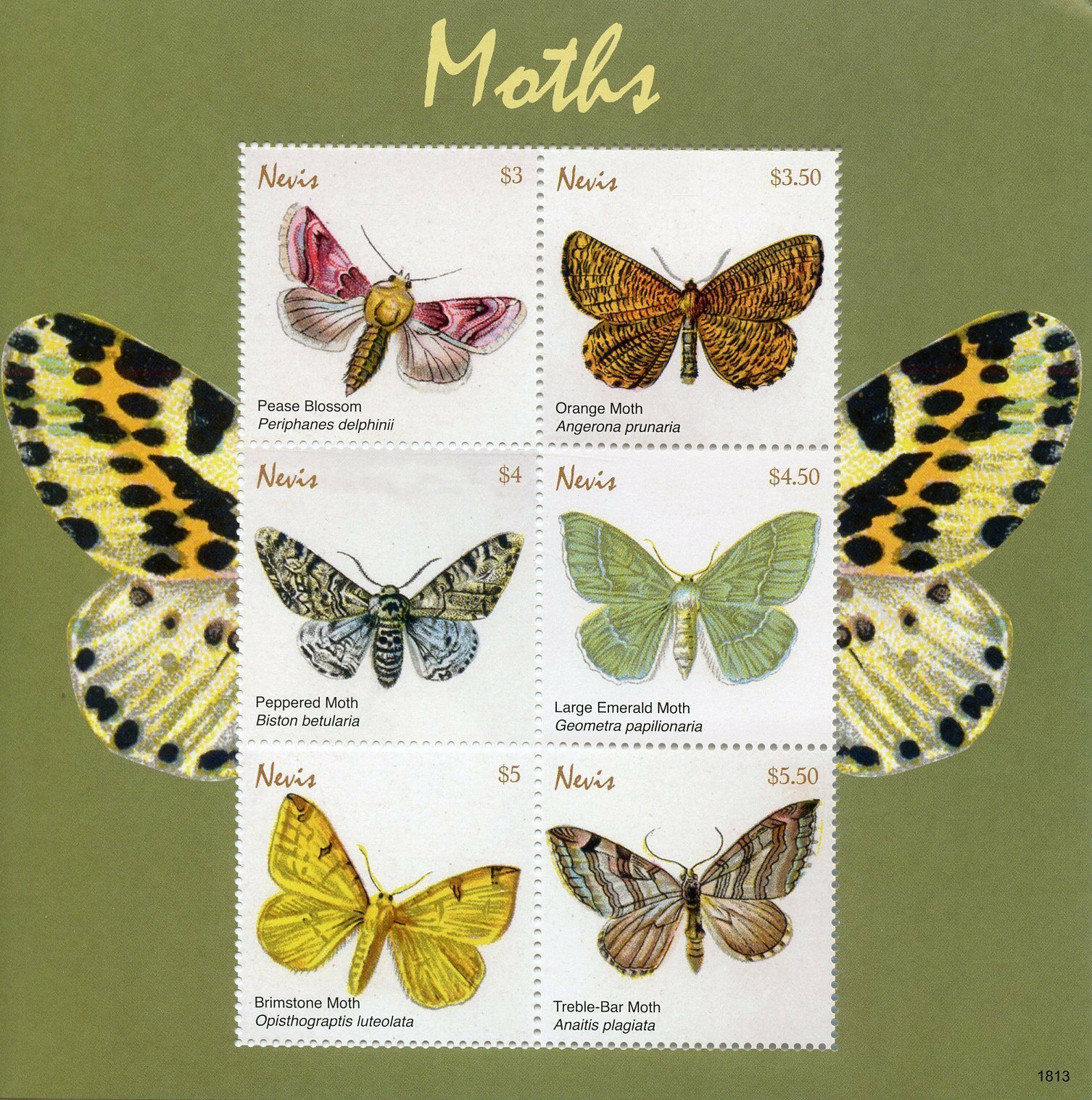 Nevis 2018 MNH Butterflies Stamps Moths Pease Blossom Brimstone Moth 6v M/S