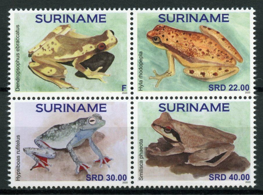 Suriname Frogs Stamps 2020 MNH Amphibians Frog Kikkers 4v Block
