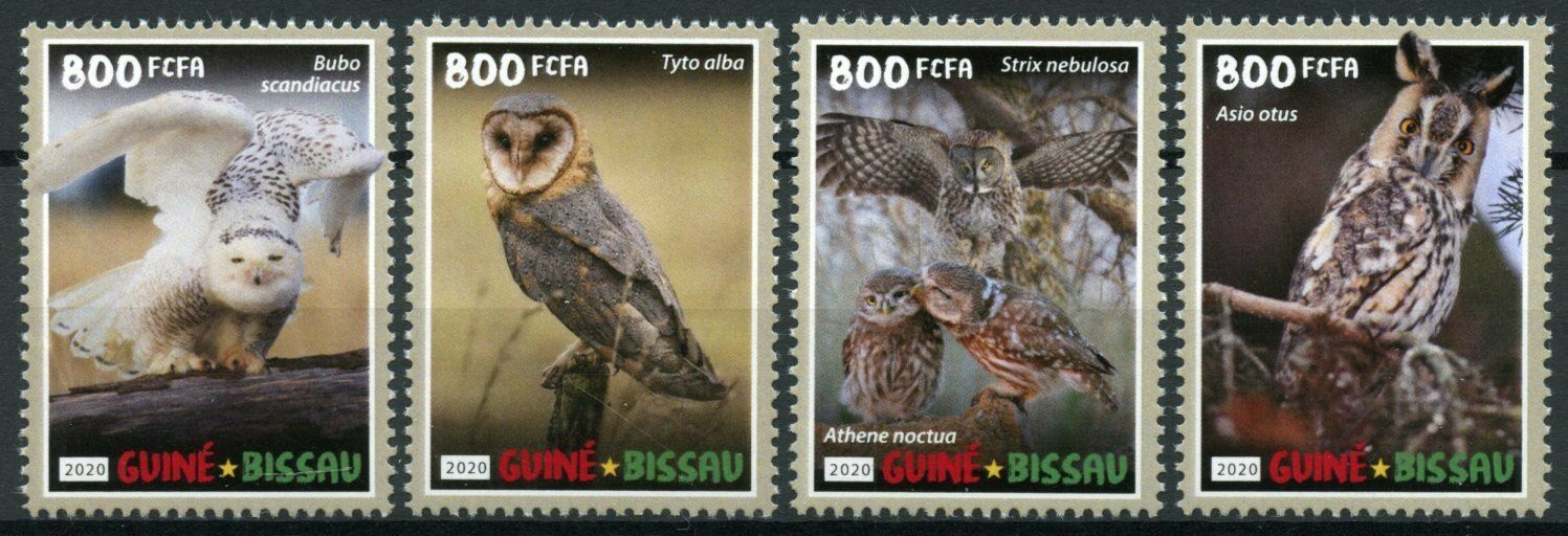 Guinea-Bissau Birds on Stamps 2020 MNH Owls Great Grey Snowy Barn Owl 4v Set
