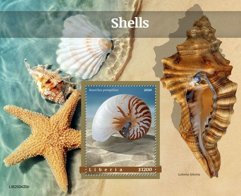 Liberia 2020 MNH Seashells Stamps Sea Shells Nautilus Lotoria Marine 1v S/S