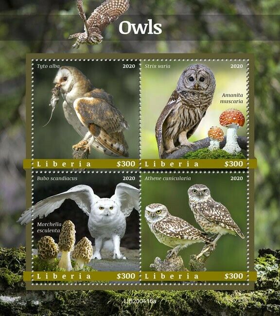Liberia 2020 MNH Birds on Stamps Owls Barn Burrowing Snowy Owl Mushrooms 4v M/S