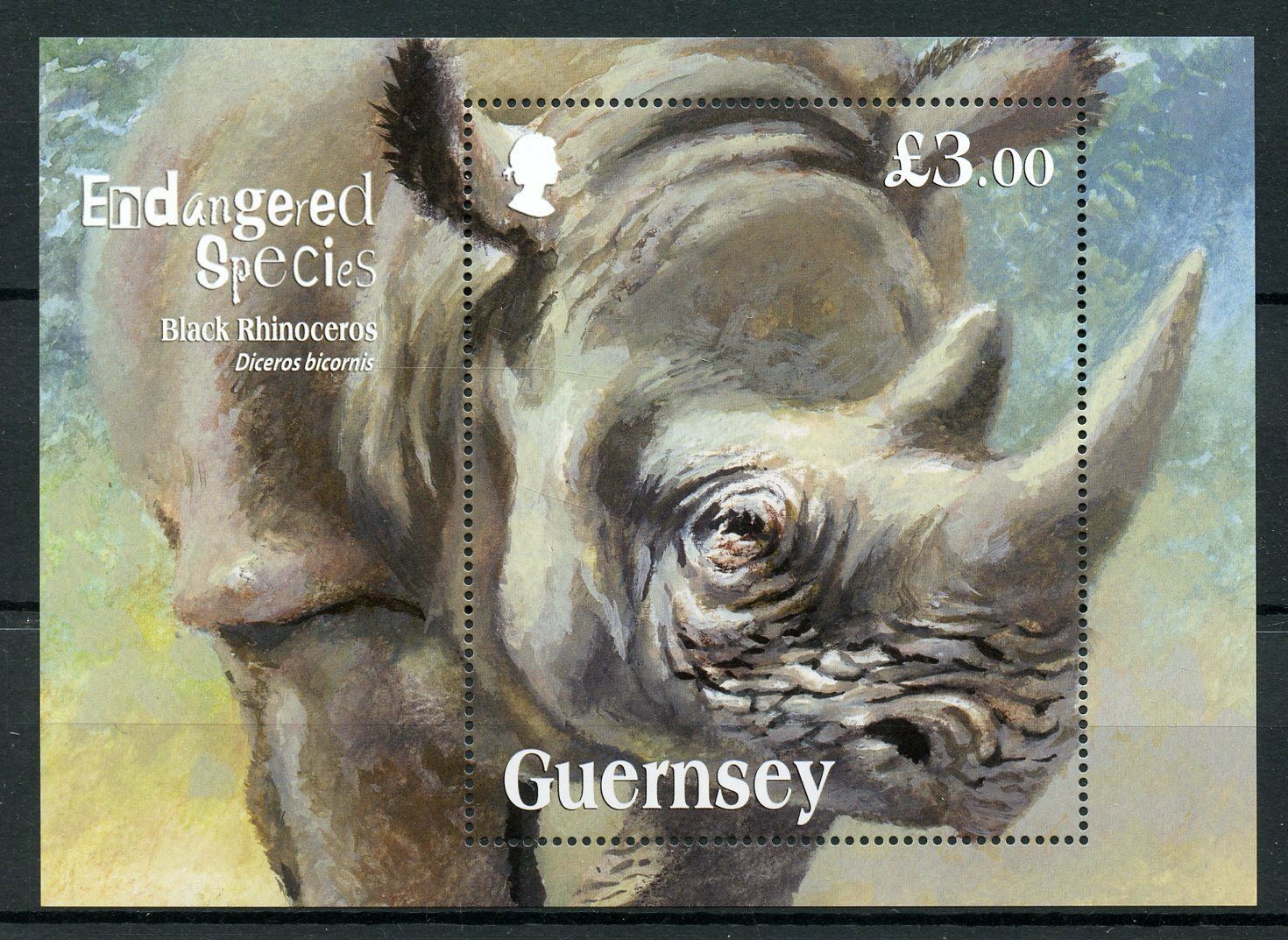 Guernsey 2018 MNH Black Rhinoceros Endangered Species 1v M/S Rhinos Stamps