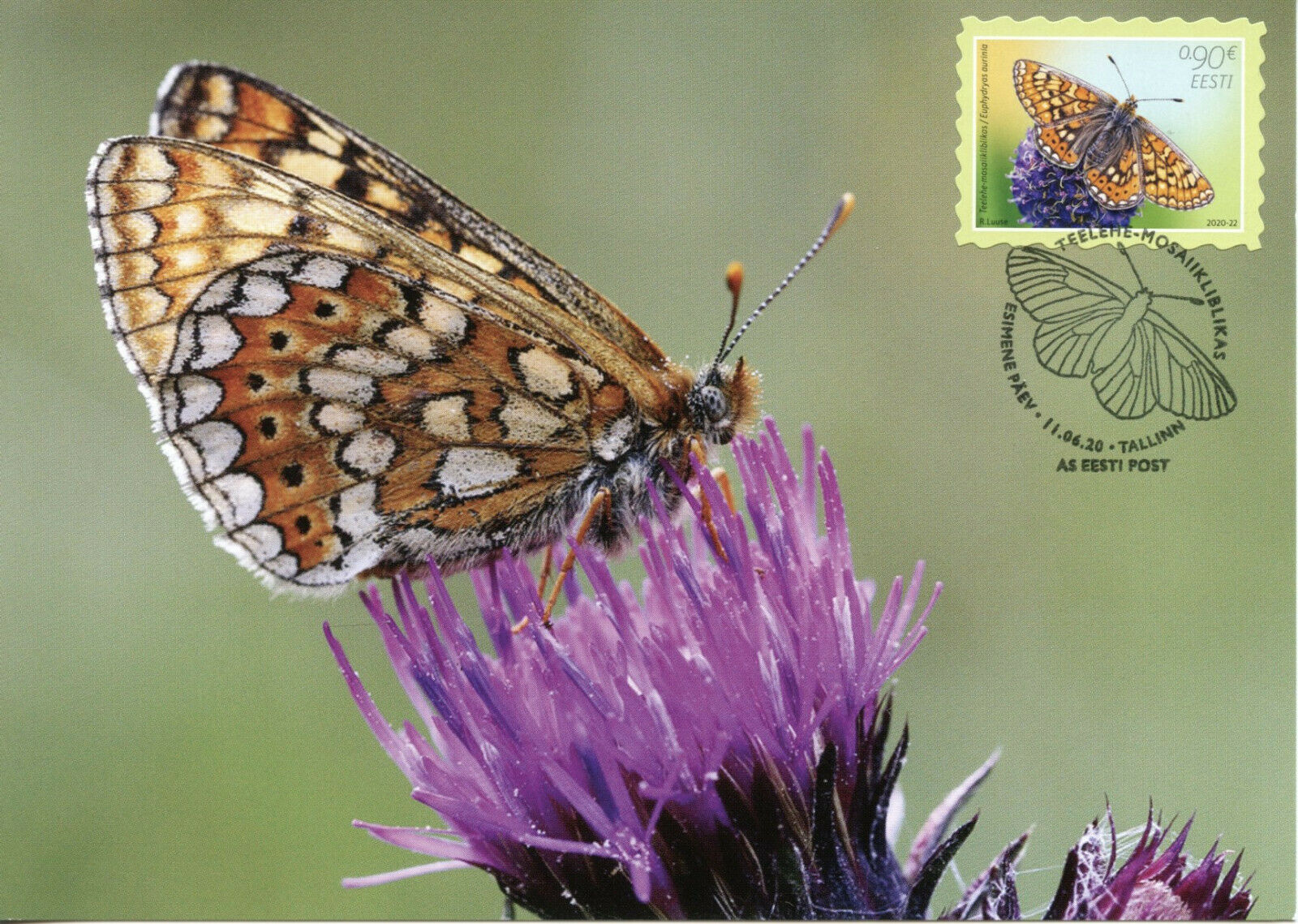 Estonia Butterflies Stamps 2020 MAXI Marsh Fritillary Butterfly of Year 4v M/S