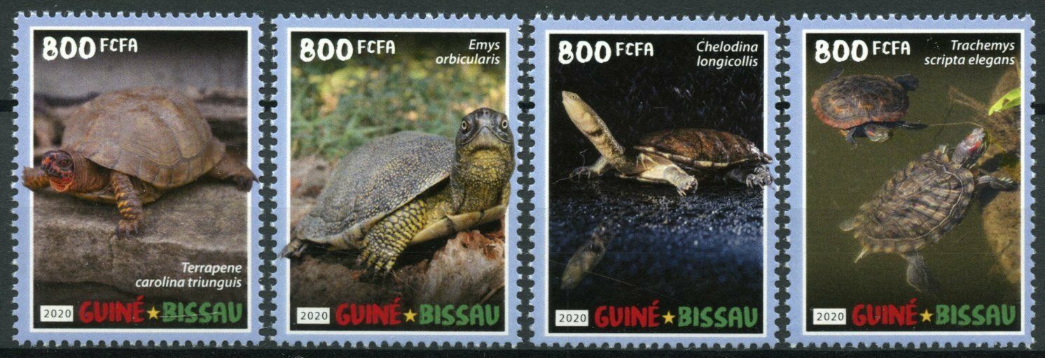 Guinea-Bissau Turtles Stamps 2020 MNH Box Pond Slider Turtle Reptiles 4v Set