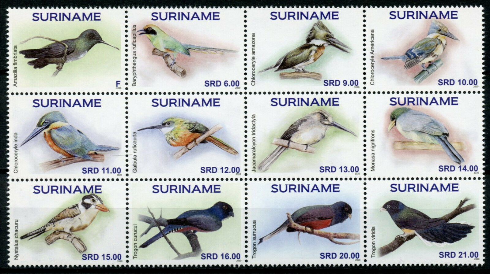 Suriname Birds on Stamps 2020 MNH Hummingbirds Kingfishers Motmot 12v Block