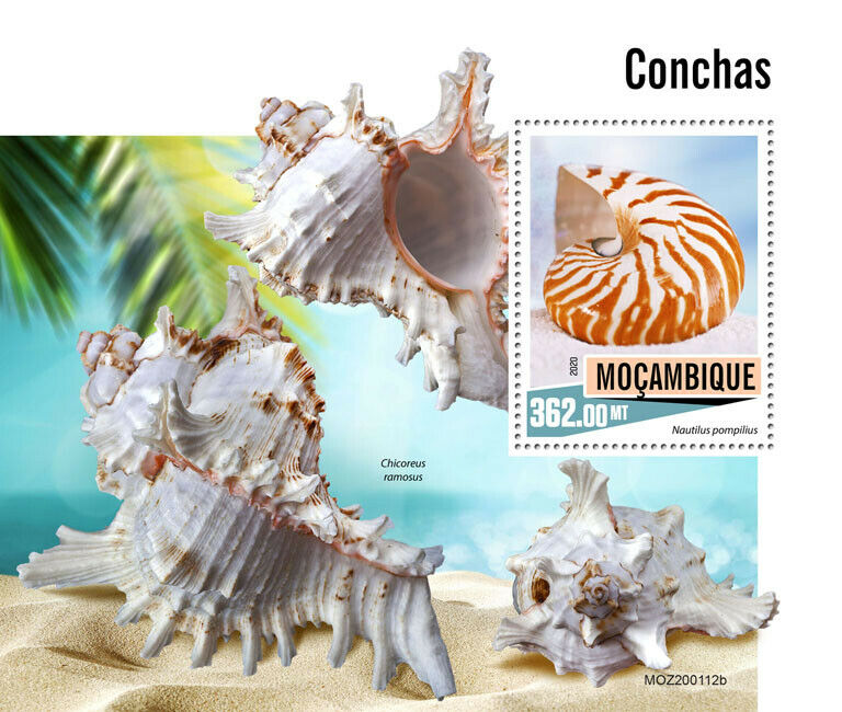 Mozambique Seashells Stamps 2020 MNH Nautilus Chicoreus Shells Marine 1v S/S