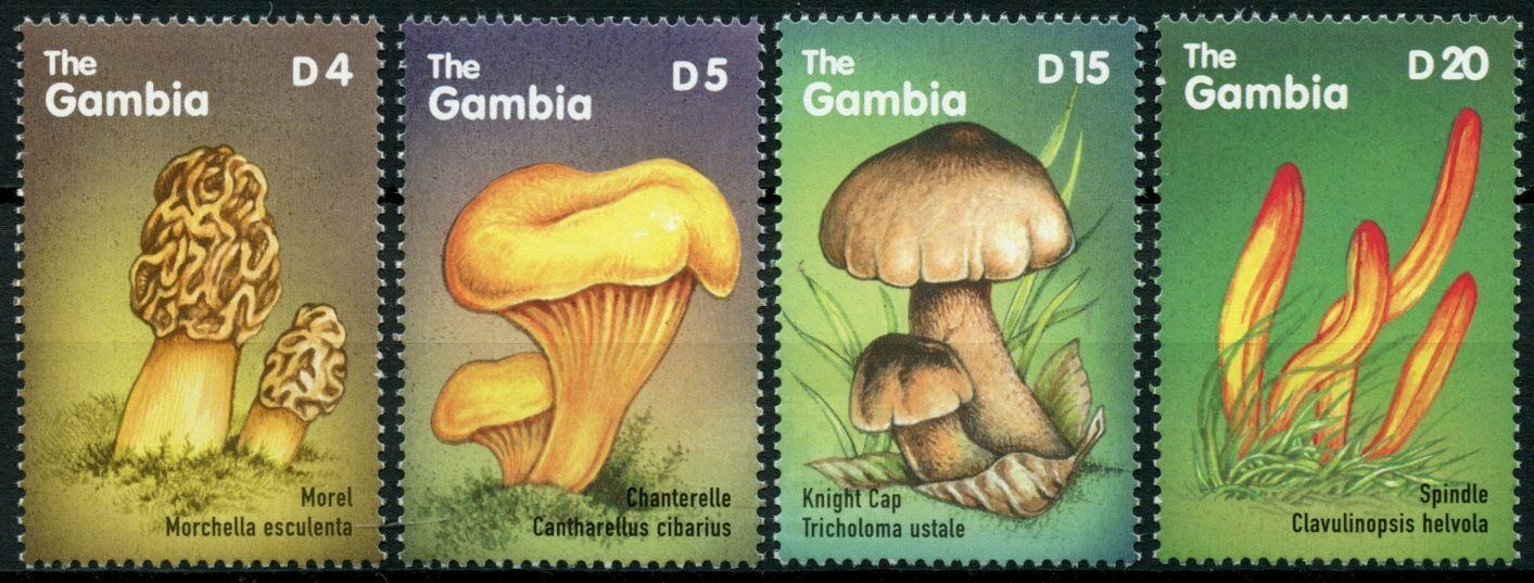 Gambia 2000 MNH Mushrooms of Africa Stamps Morel Chanterelle Fungi Nature 4v Set
