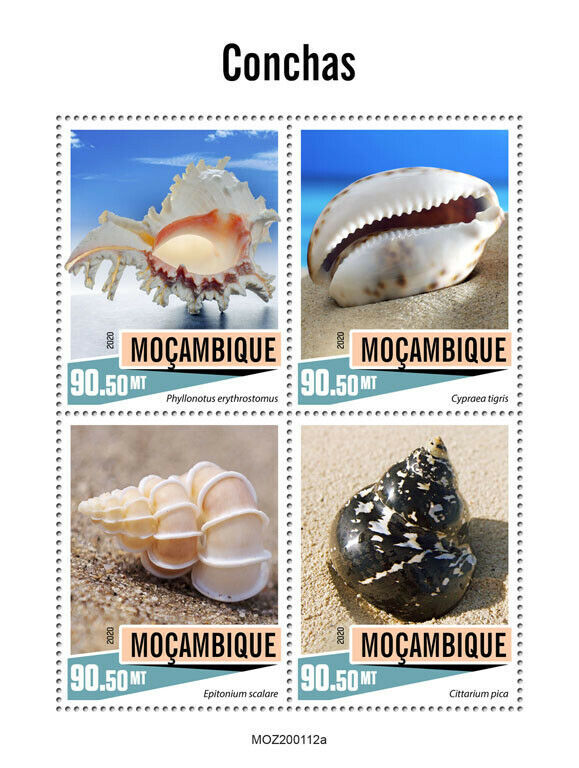 Mozambique Seashells Stamps 2020 MNH Cittarium Cypraea Shells Marine 4v M/S