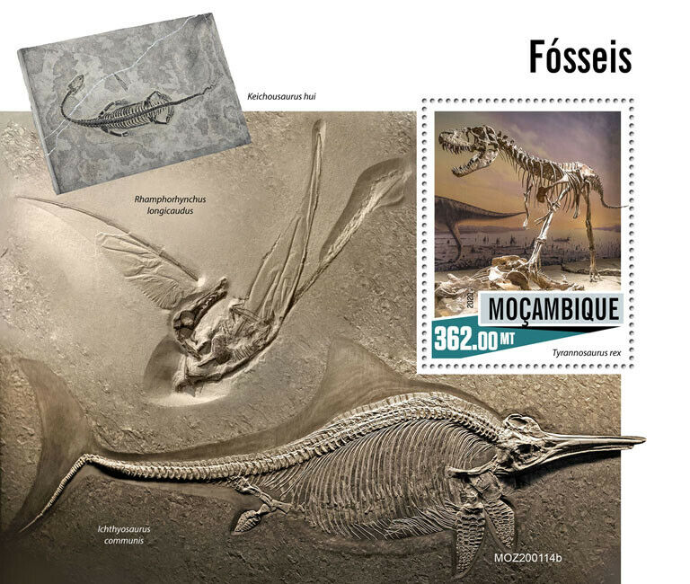Mozambique Fossils Stamps 2020 MNH Prehistoric Animals Dinosaurs T-Rex 1v S/S
