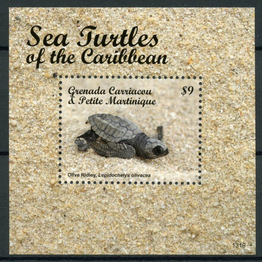 Grenadines Grenada Stamps 2013 MNH Sea Turtles Caribbean Olive Ridley 1v S/S