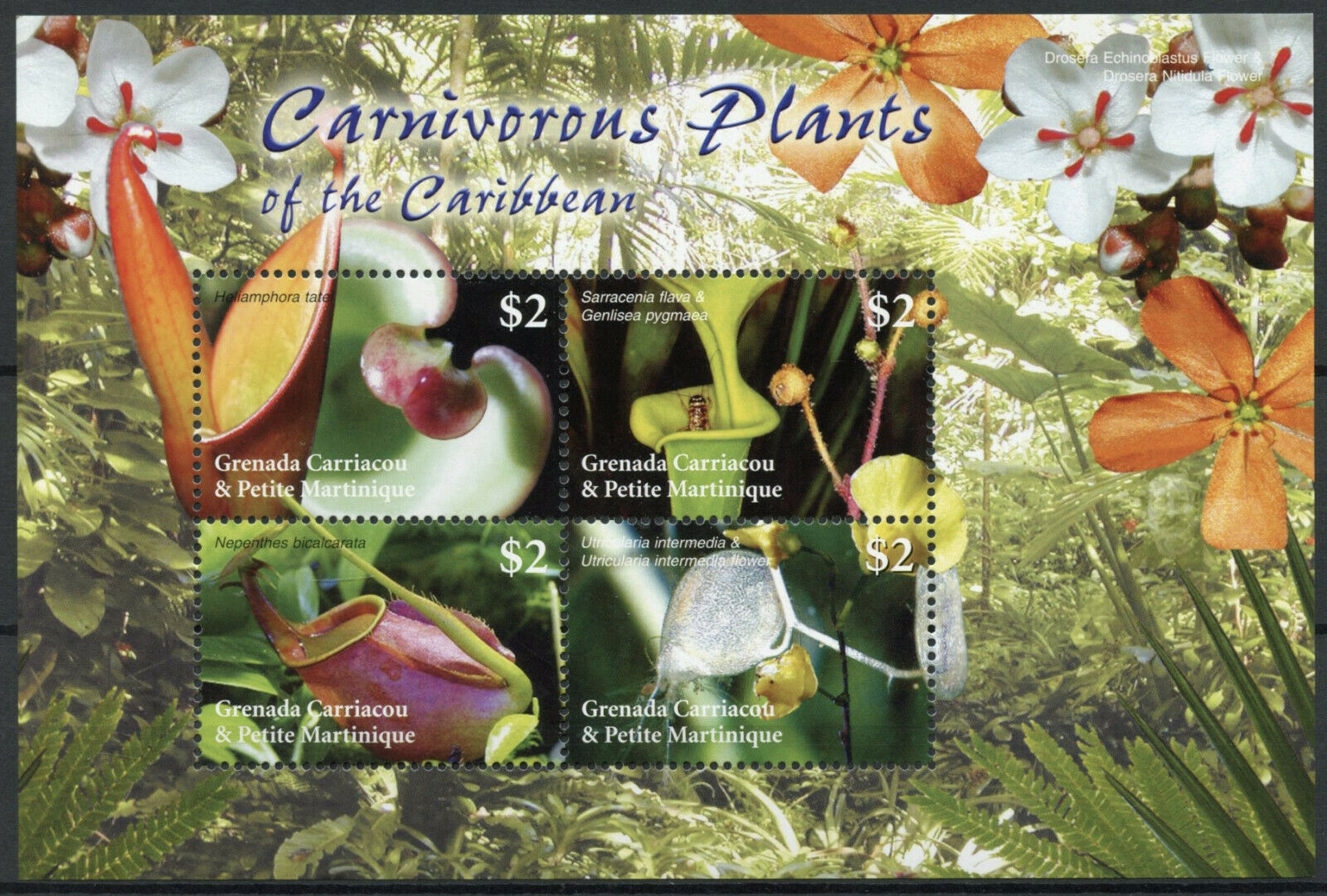 Grenadines of Grenada 2005 MNH Nature Stamps Carnivorous Plants of Caribbean 4v M/S