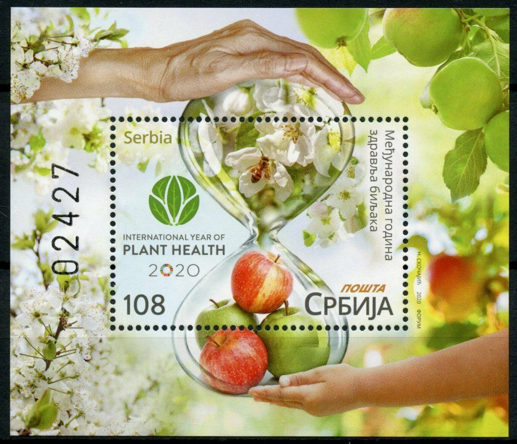Serbia Plants Stamps 2020 MNH Intl Year of Plant Health Fruits Apples 1v M/S