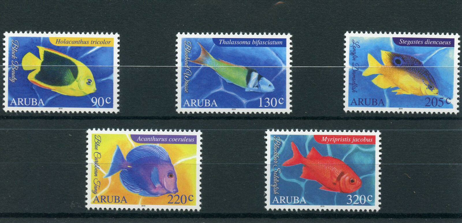 Aruba Fish Stamps 2016 MNH Fishes Wrasse Tang Damselfish Marine 5v Set