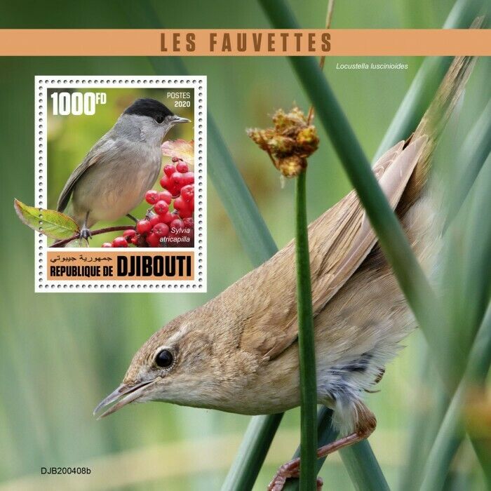 Djibouti Birds on Stamps 2020 MNH Warblers Blackcap Savi's Warbler 1v S/S