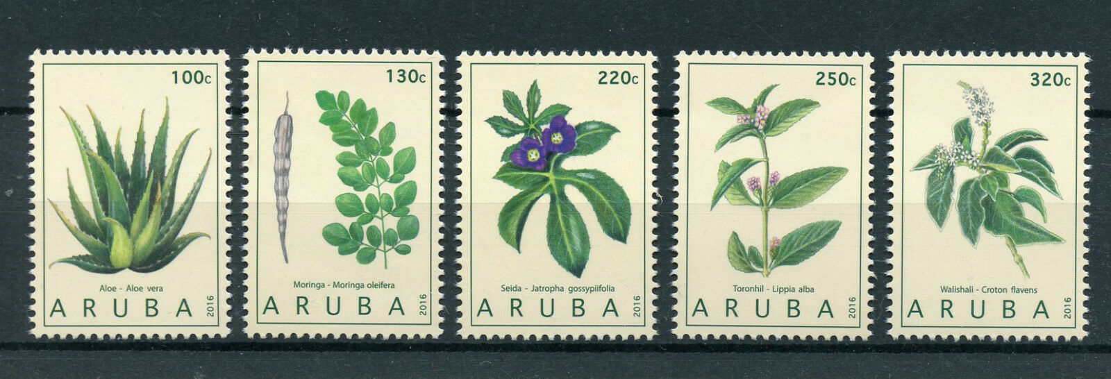 Aruba Stamps 2016 MNH Medicinal Plants Aloe Vera Moringa Seida Toronhill 5v Set