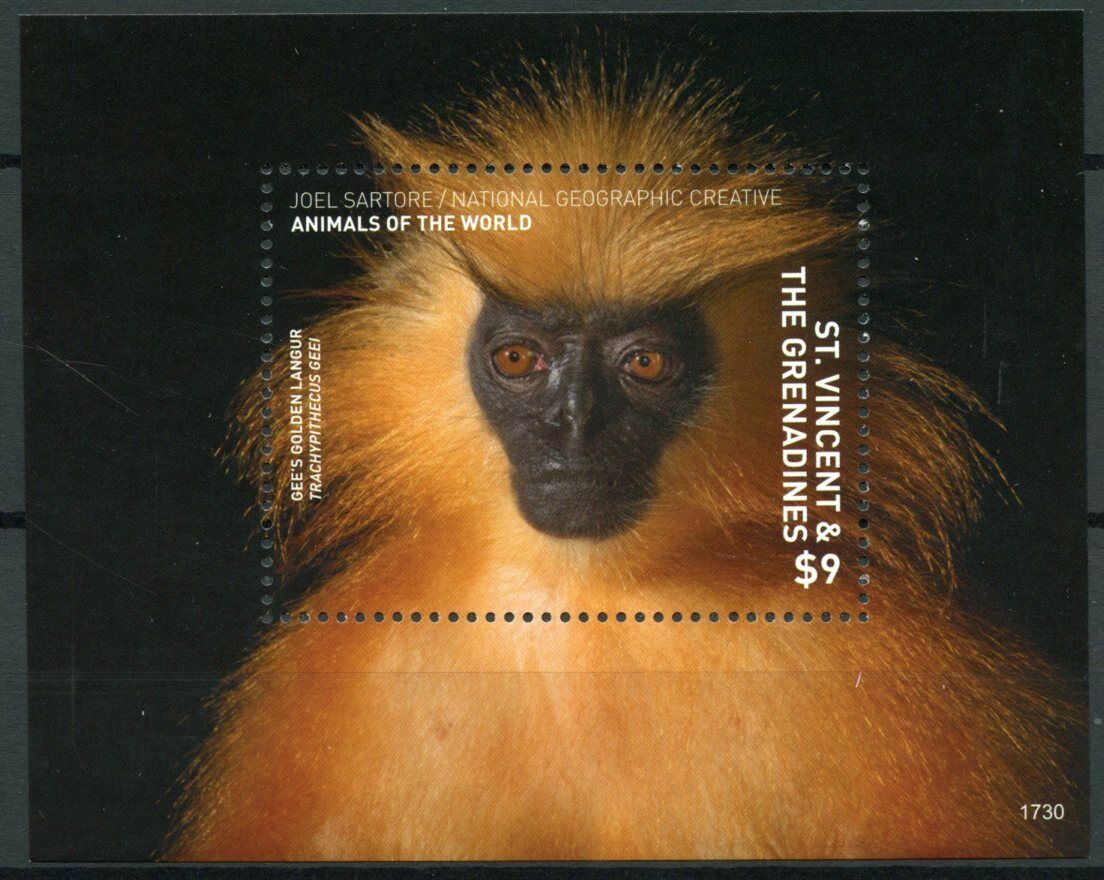 St Vincent & Grenadines 2017 MNH Stamps Wild Animals of World Monkeys 1v S/S