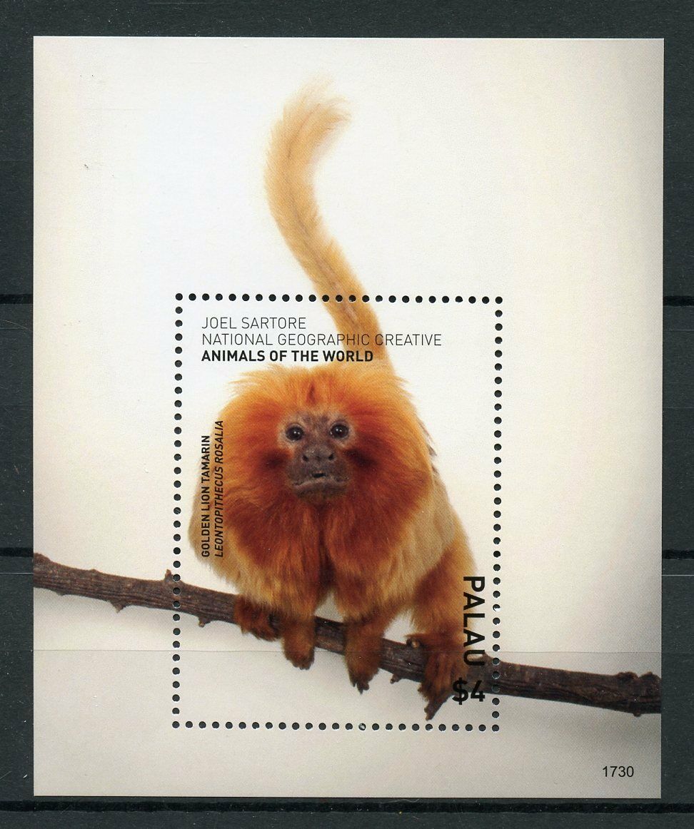 Palau Monkeys Stamps 2017 MNH Wild Animals of World Golden Lion Tamarin 1v S/S