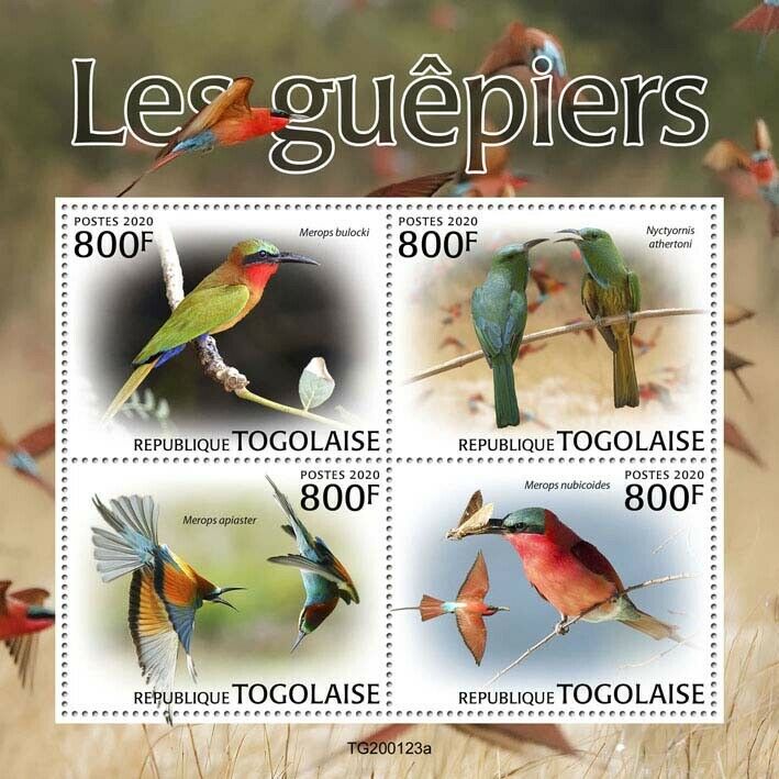 Togo Birds on Stamps 2020 MNH Bee-Eaters Red-Throated Bee-Eater Fauna 4v M/S