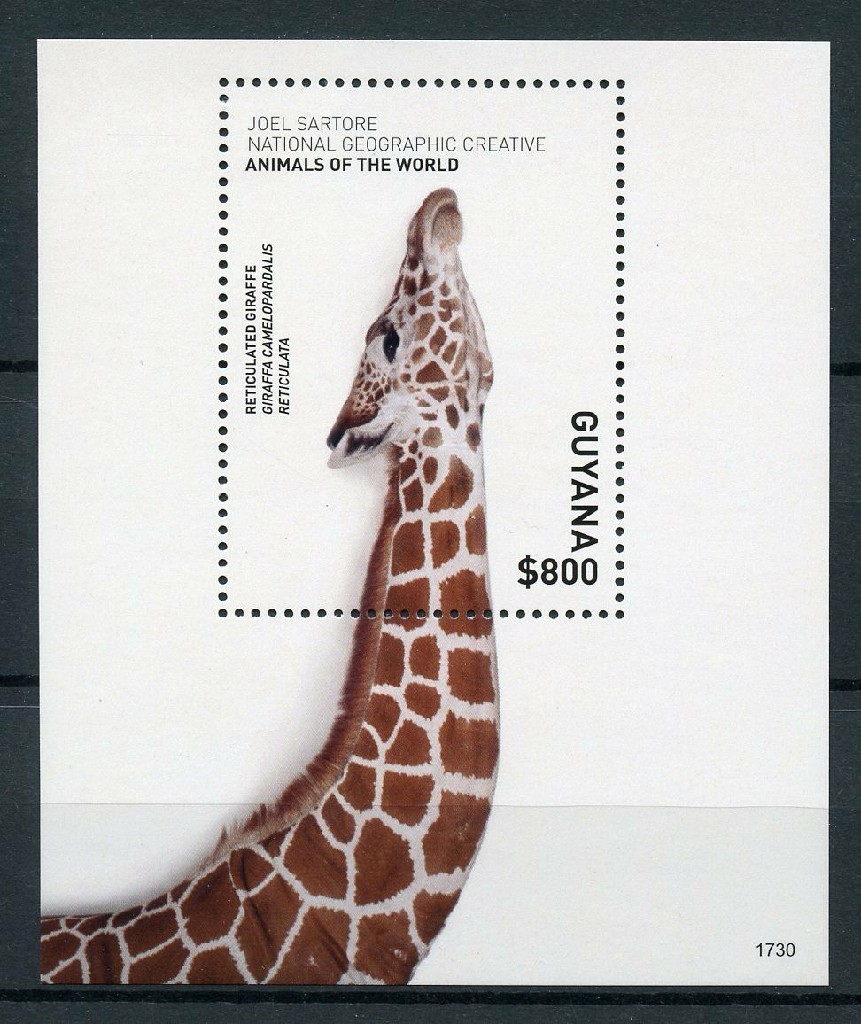 Guyana Wild Animals Stamps 2017 MNH Animals of World Giraffes Giraffe 1v S/S