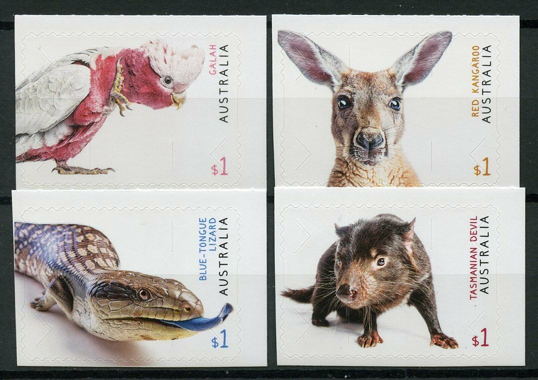 Australia 2019 MNH Fauna Galah Tasmanian Devil 4v S/A Set Birds Lizards Stamps