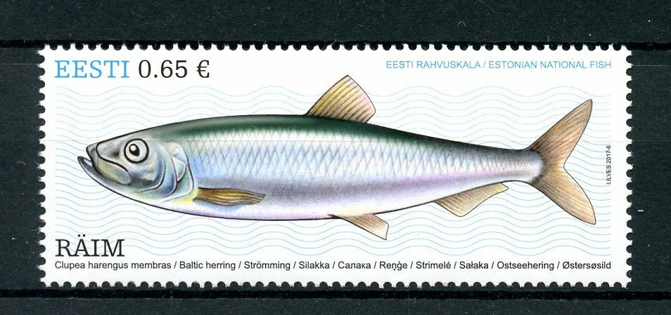Estonia 2017 MNH Estonian National Fish Baltic Herring 1v Set Fishes Stamps