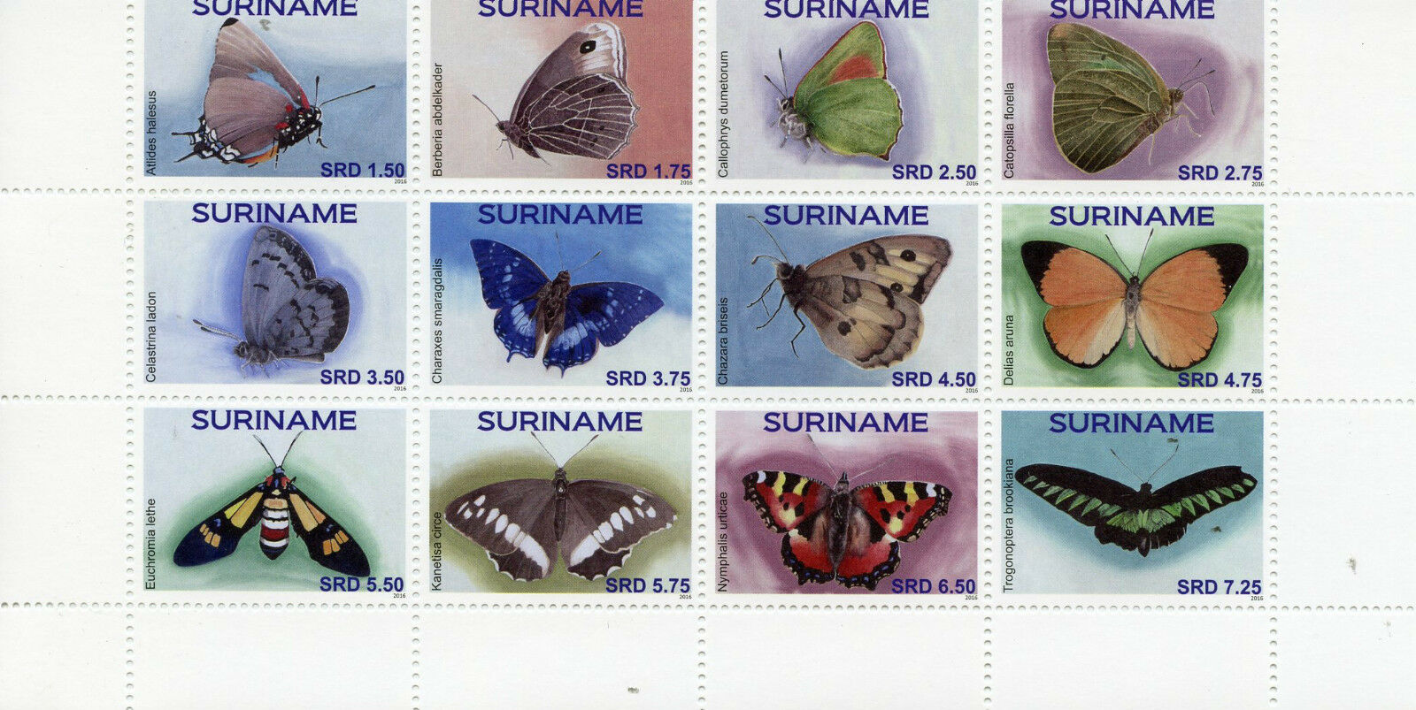 Suriname Butterflies Stamps 2016 MNH Butterfly Insects 12v Block