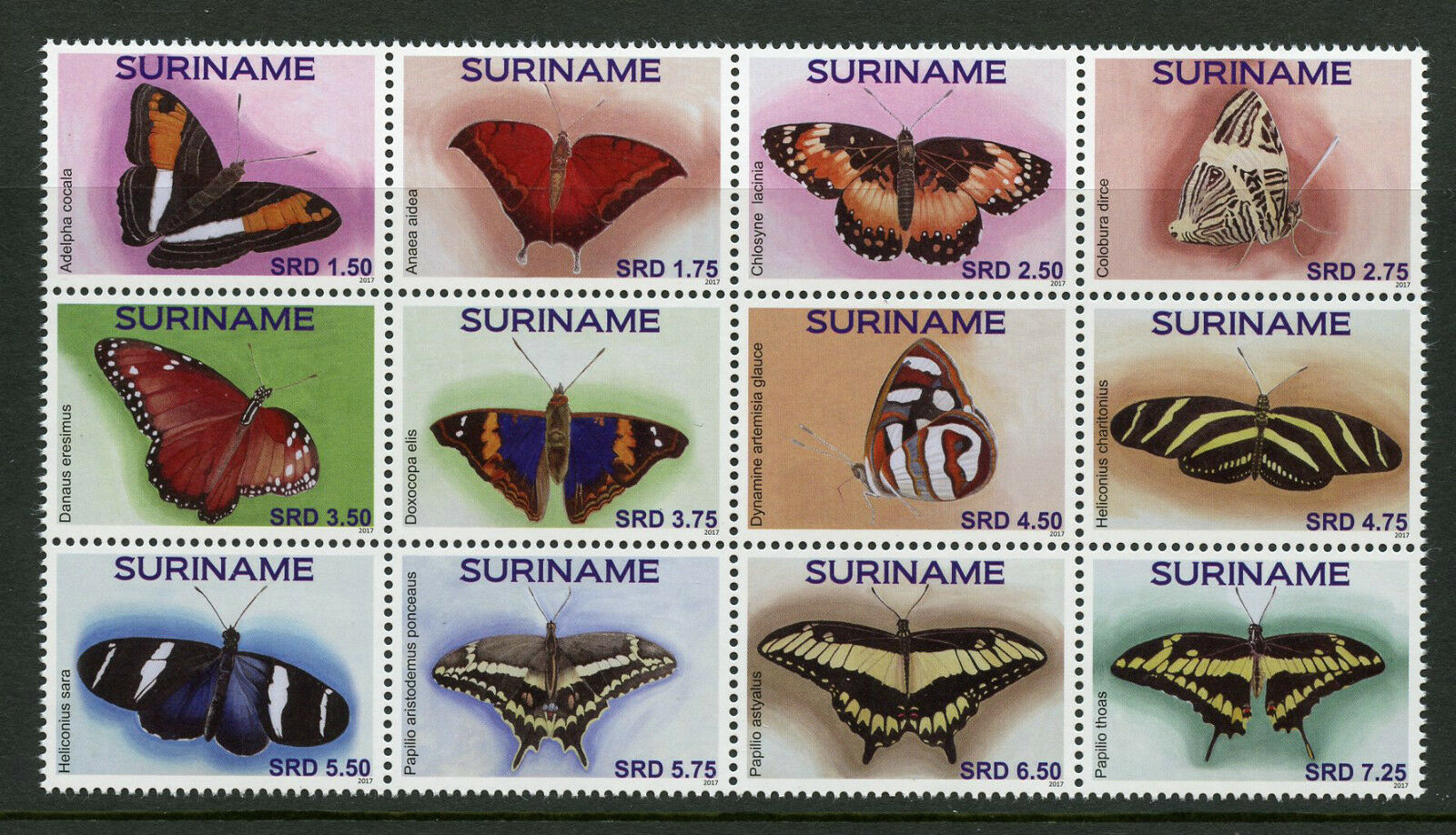 Suriname Butterflies Stamps 2017 MNH Swallowtail Butterfly Insects 12v Block