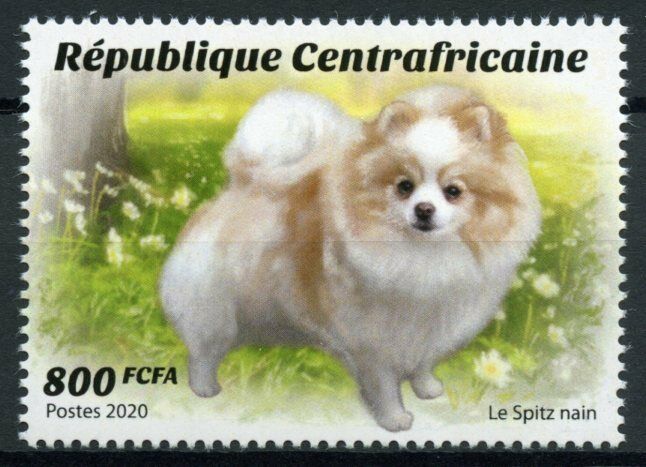 Central African Rep Dogs Stamps 2020 MNH Pomeranian Dog Breeds Spitz 1v Set