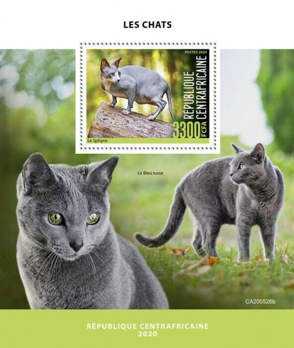 Central African Rep Cats Stamps 2020 MNH Sphynx Russian Blue Cat Pets 1v S/S