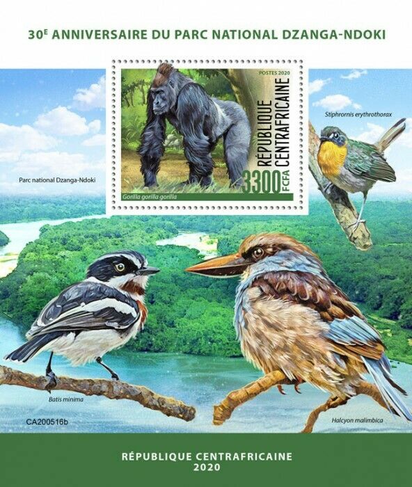 Central African Rep Wild Animals Stamps 2020 MNH Dzanga-Ndoki Birds 1v S/S