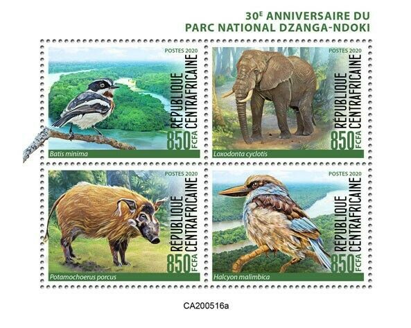 Central African Rep Wild Animals Stamps 2020 MNH Dzanga-Ndoki Birds 4v M/S