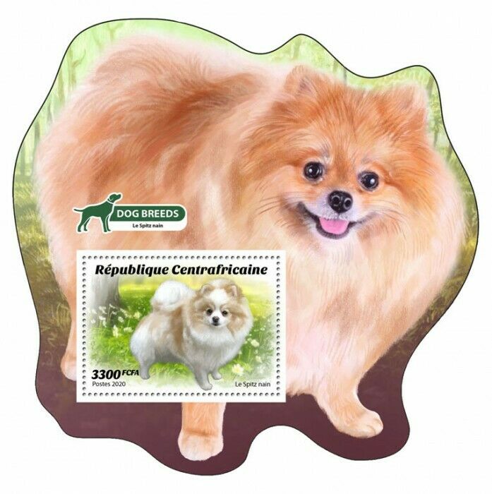 Central African Rep Dogs Stamps 2020 MNH Pomeranian Dog Breeds Spitz 1v S/S