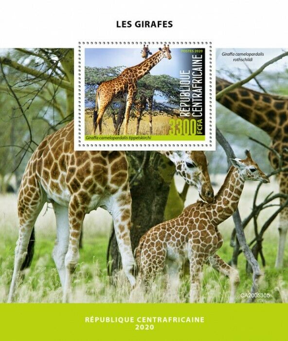 Central African Rep Wild Animals Stamps 2020 MNH Giraffes Giraffe Fauna 1v S/S