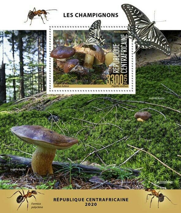 Central African Rep Mushrooms Stamps 2020 MNH Fungi Butterflies Nature 1v S/S