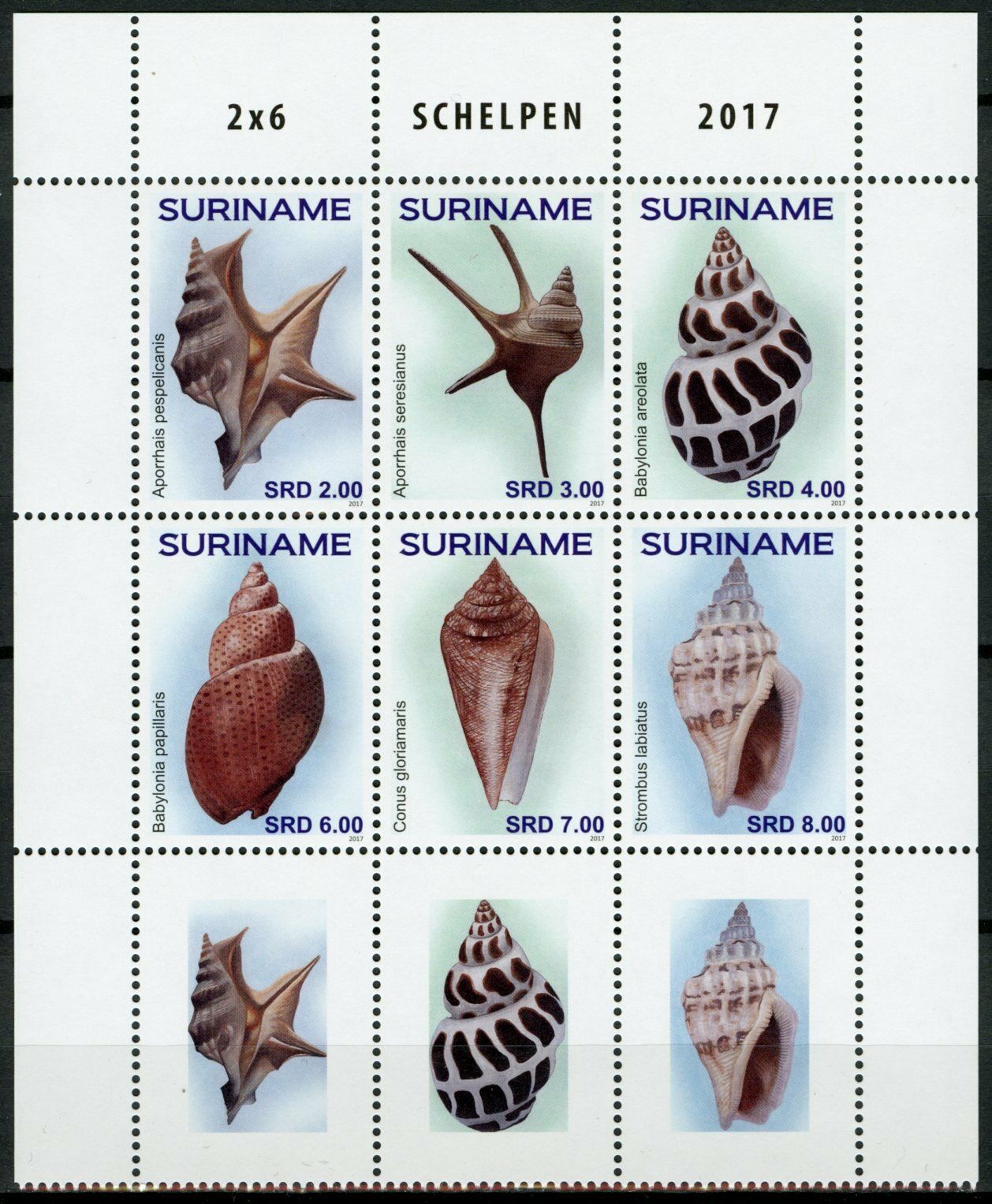 Suriname Seashells Stamps 2017 MNH Sea Shells Marine 6v Block