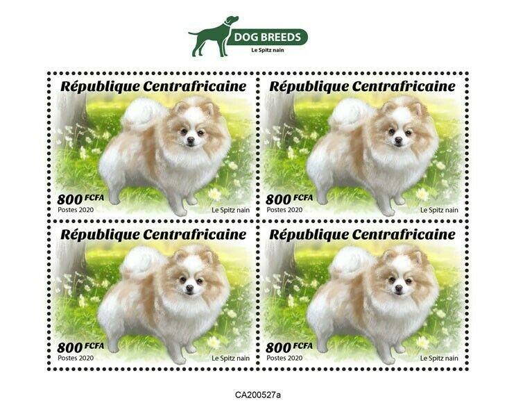 Central African Rep Dogs Stamps 2020 MNH Pomeranian Dog Breeds Spitz 4v M/S