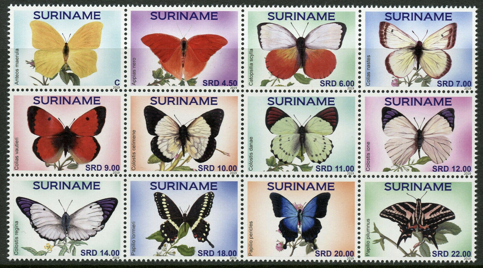 Suriname Butterflies Stamps 2019 MNH Butterfly Insects 12v Block