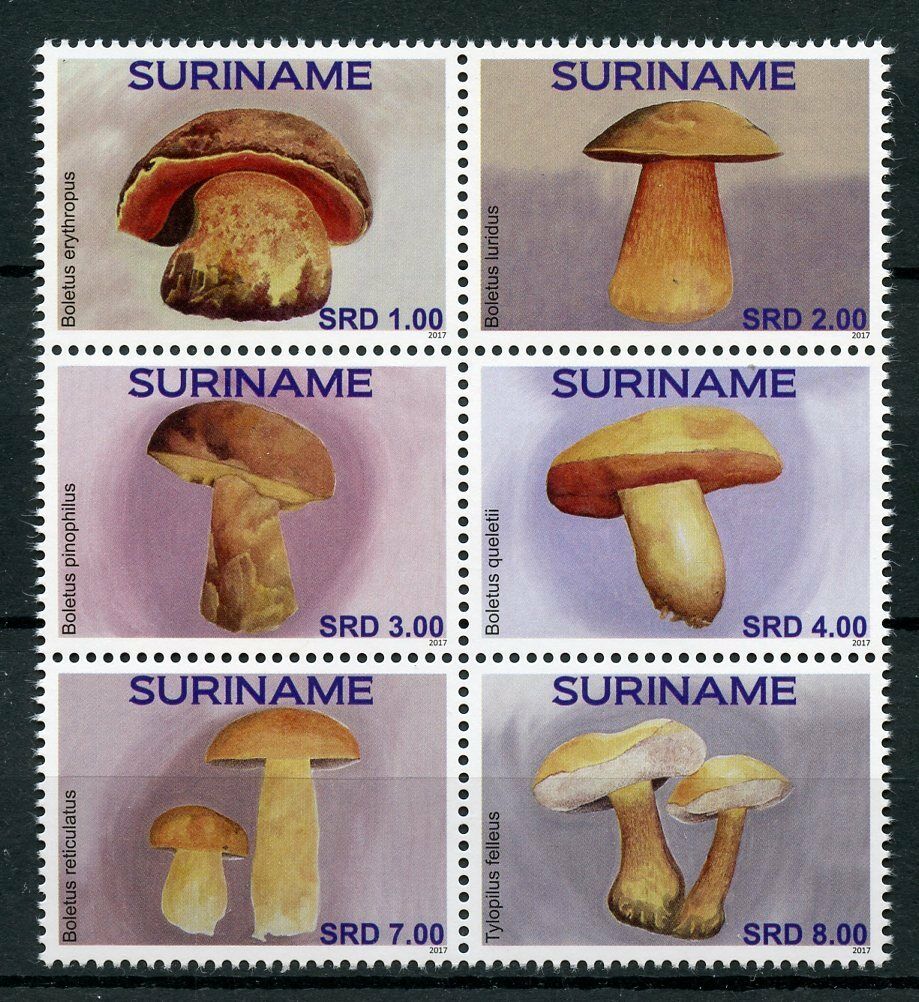 Suriname Mushrooms Stamps 2017 MNH Paddestoelen Fungi Nature 6v Block