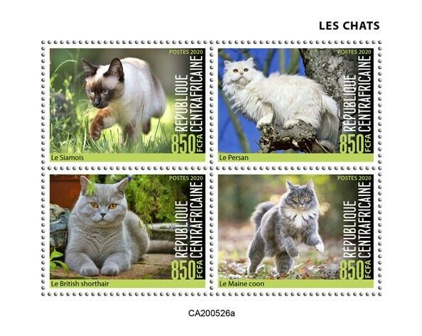 Central African Rep Cats Stamps 2020 MNH Siamese Maine Coon Persian Cat 4v M/S
