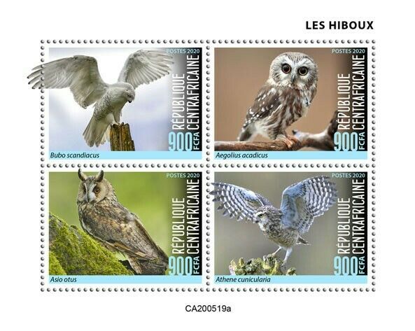 Central African Rep Birds on Stamps 2020 MNH Owls Little Snowy Owl 4v M/S