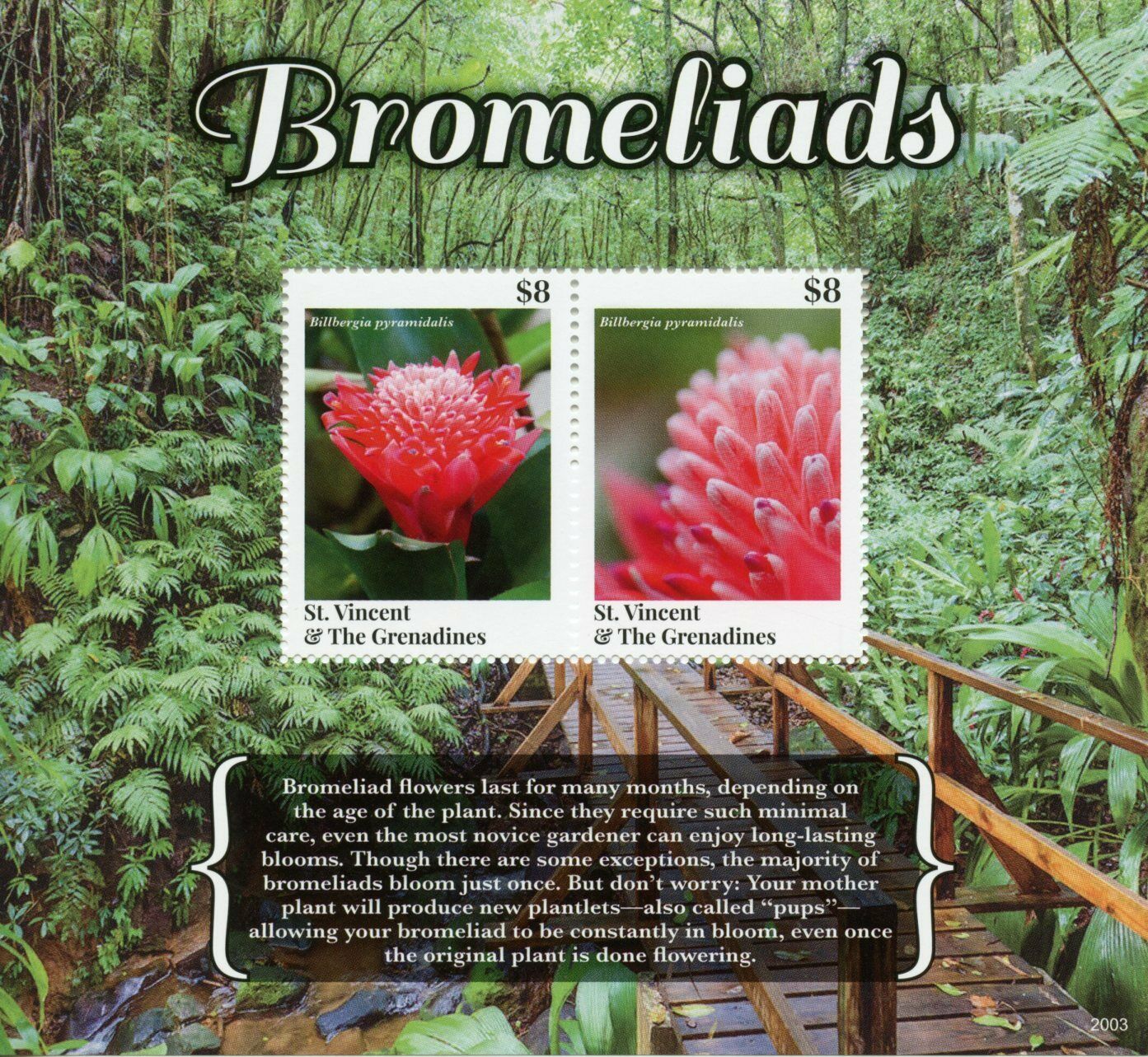 St Vincent & Grenadines Flowers Stamps 2020 MNH Bromeliads Plants Nature 2v S/S
