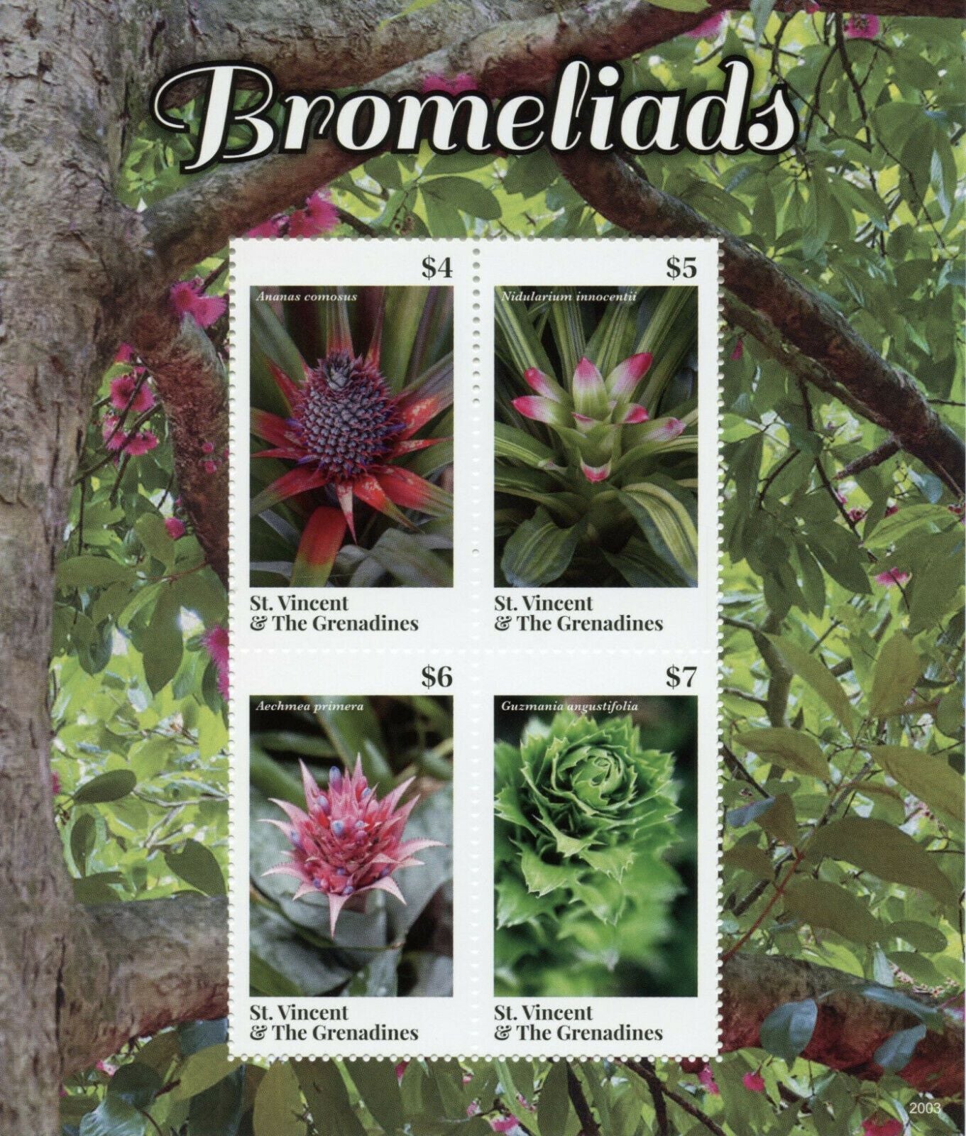 St Vincent & Grenadines 2020 MNH Flowers Stamps Bromeliads Plants Nature 4v M/S