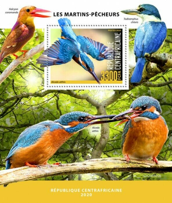 Central African Rep 2020 MNH Birds on Stamps Kingfishers Kingfisher 1v S/S
