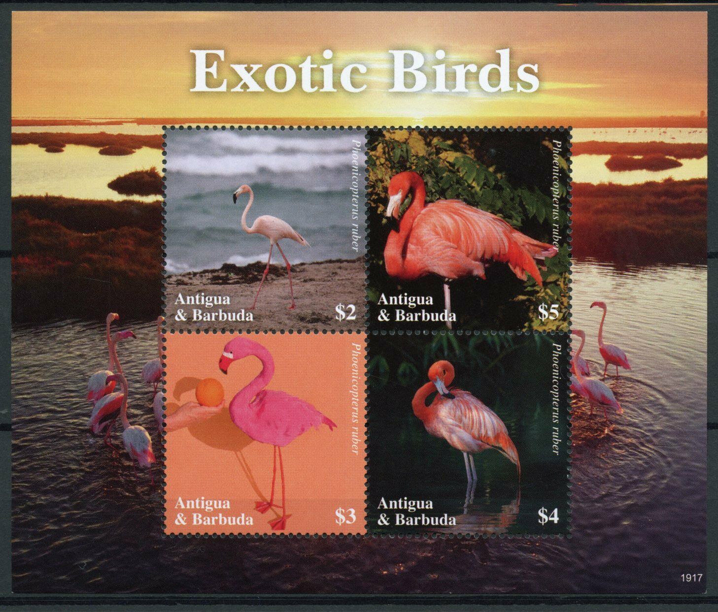 Antigua & Barbuda 2019 MNH Exotic Birds on Stamps Flamingos Flamingo 4v M/S