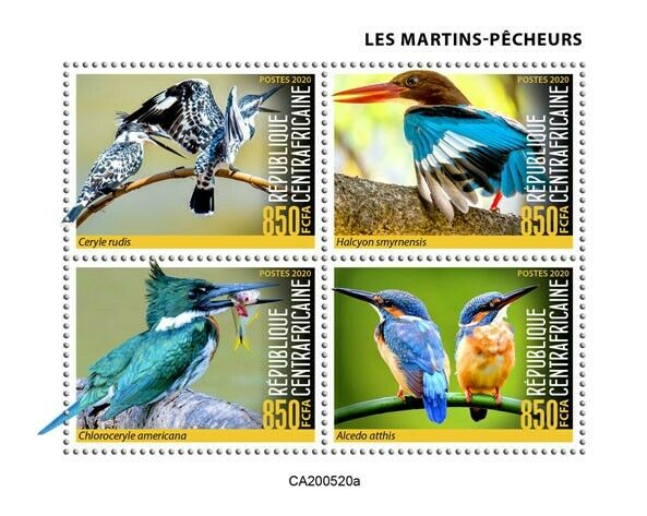 Central African Rep 2020 MNH Birds on Stamps Kingfishers Kingfisher 4v M/S