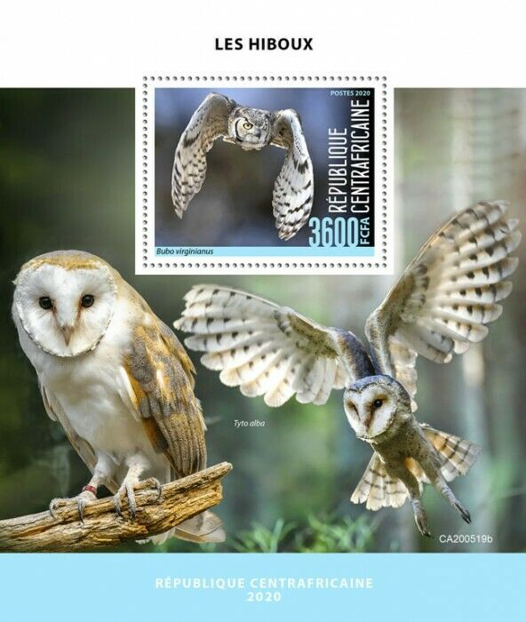 Central African Rep Birds on Stamps 2020 MNH Owls Great Horned Barn Owl 1v S/S