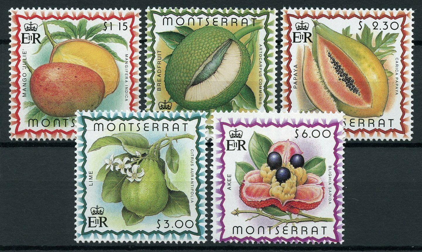 Montserrat Stamps 1999 MNH Tropical Caribbean Fruits Mango Lime Akee 5v Set