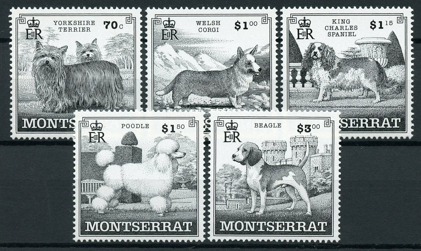 Montserrat Dogs Stamps 1999 MNH Poodle Beagle King Charles Spaniel Corgi 5v Set