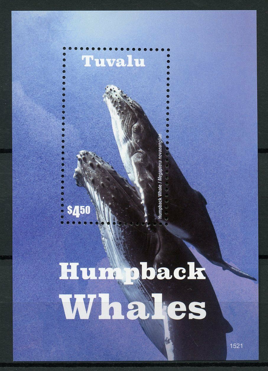 Tuvalu Marine Animals Stamps 2015 MNH Humpback Whales Whale Mammals 1v S/S