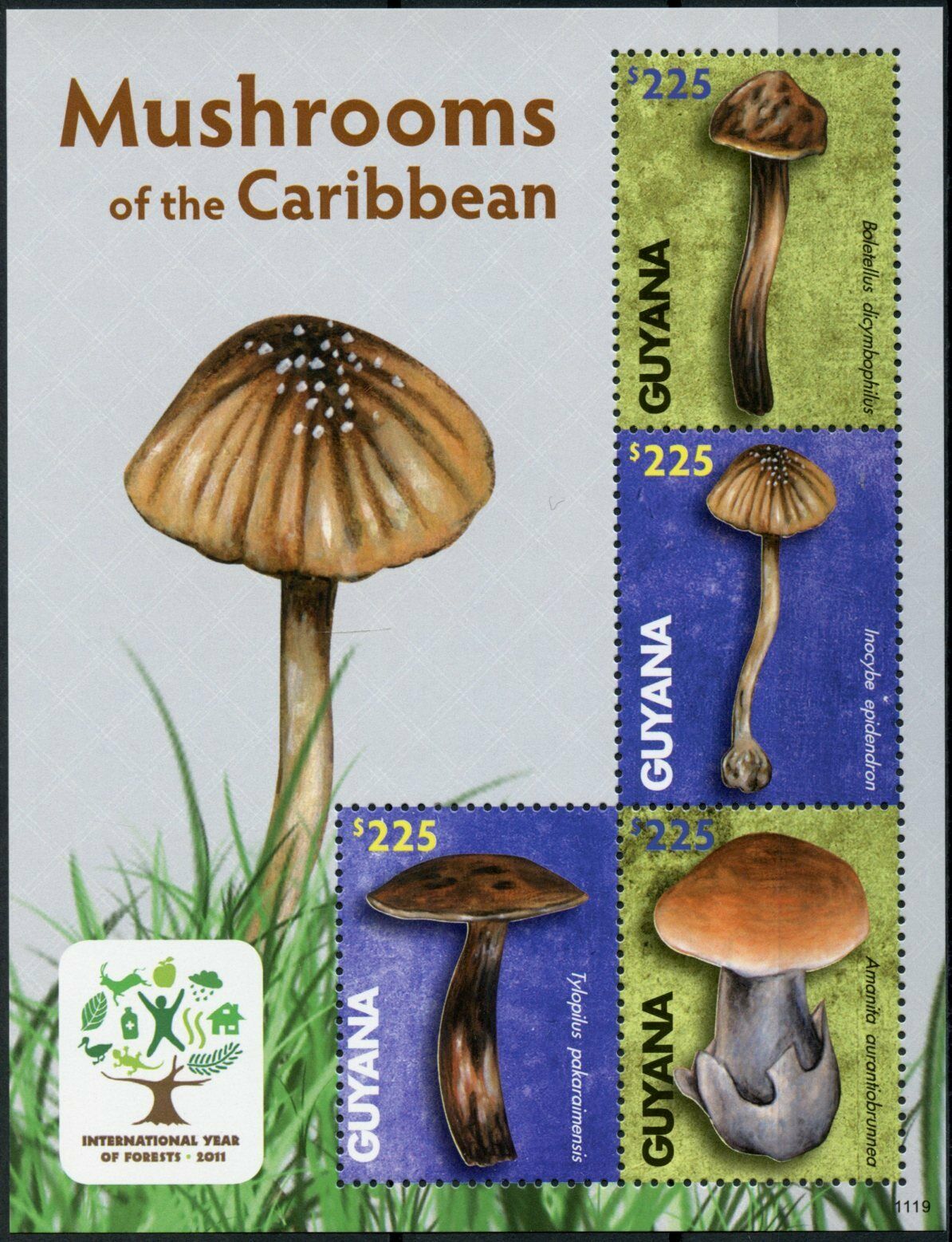 Guyana Mushrooms of Caribbean Stamps 2011 MNH Fungi Intl Year Forests 4v M/S II